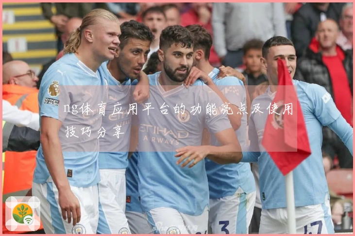 ng体育应用平台的功能亮点及使用技巧分享