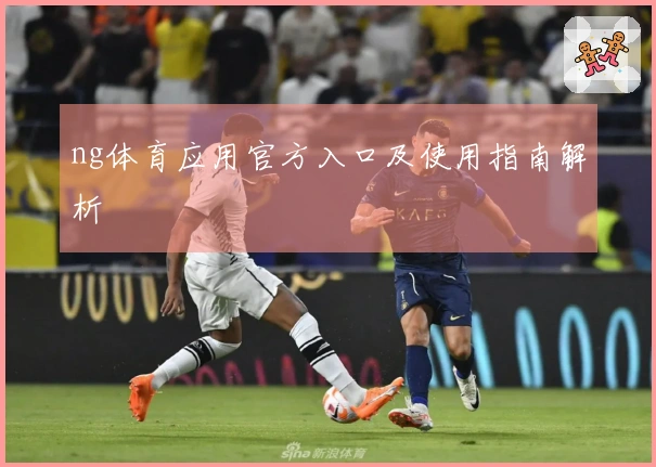 ng体育应用官方入口及使用指南解析