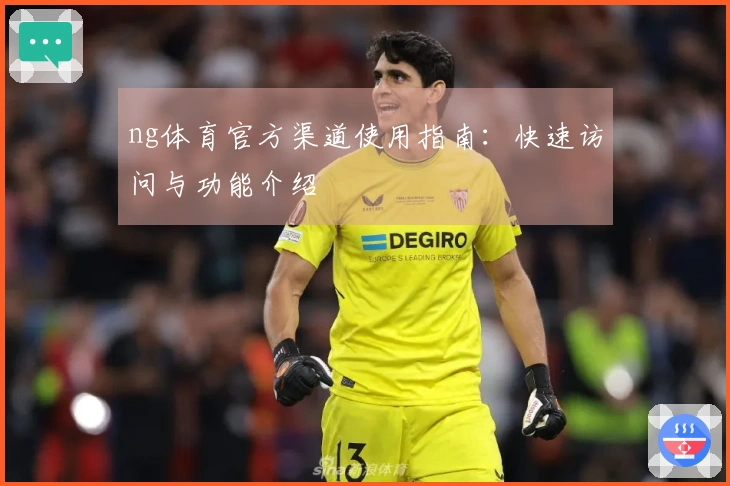 ng体育官方渠道使用指南：快速访问与功能介绍