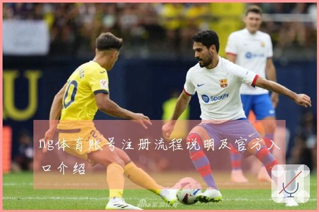 ng体育账号注册流程说明及官方入口介绍