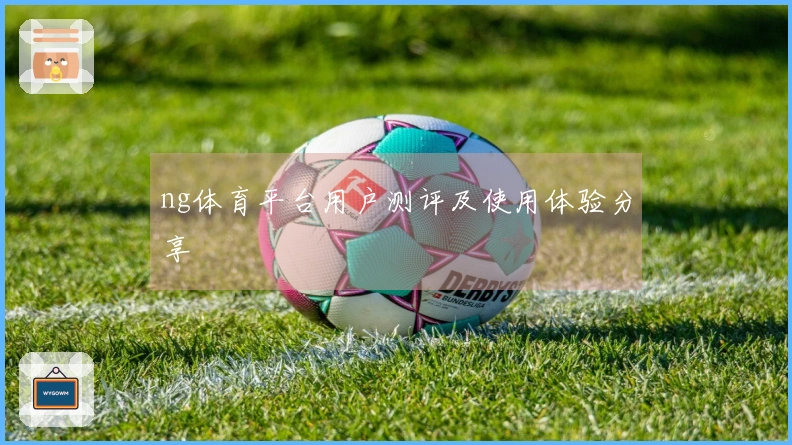 ng体育平台用户测评及使用体验分享