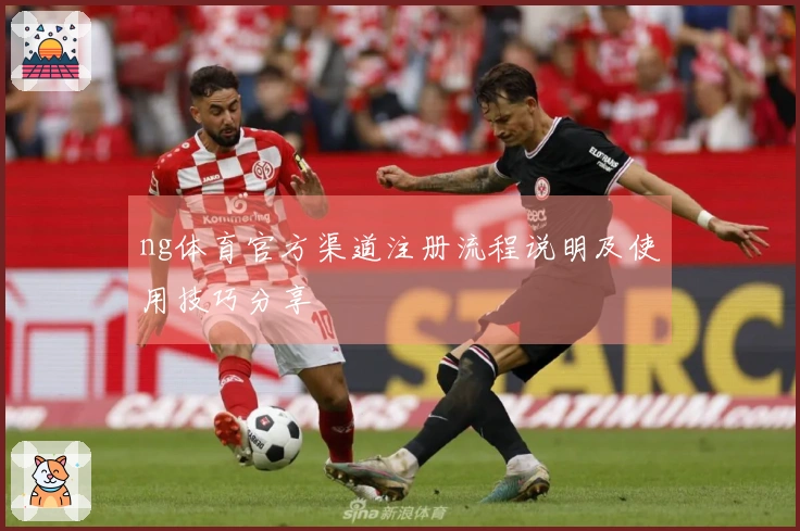 ng体育官方渠道注册流程说明及使用技巧分享