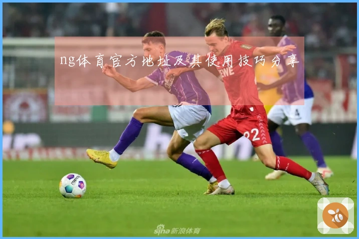 ng体育官方地址及其使用技巧分享