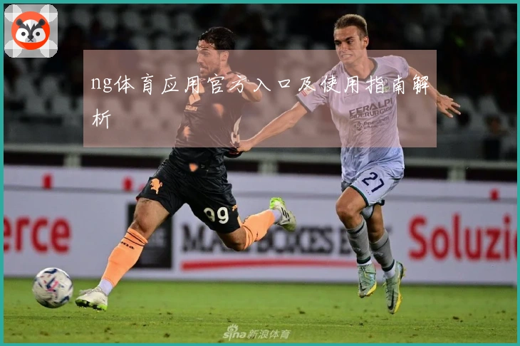 ng体育应用官方入口及使用指南解析